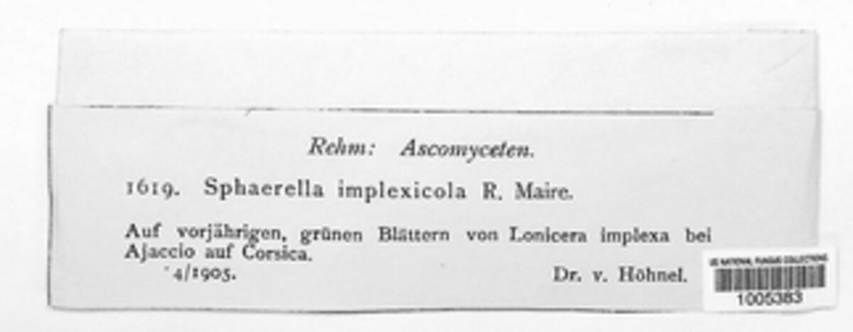 Mycosphaerella implexicola image